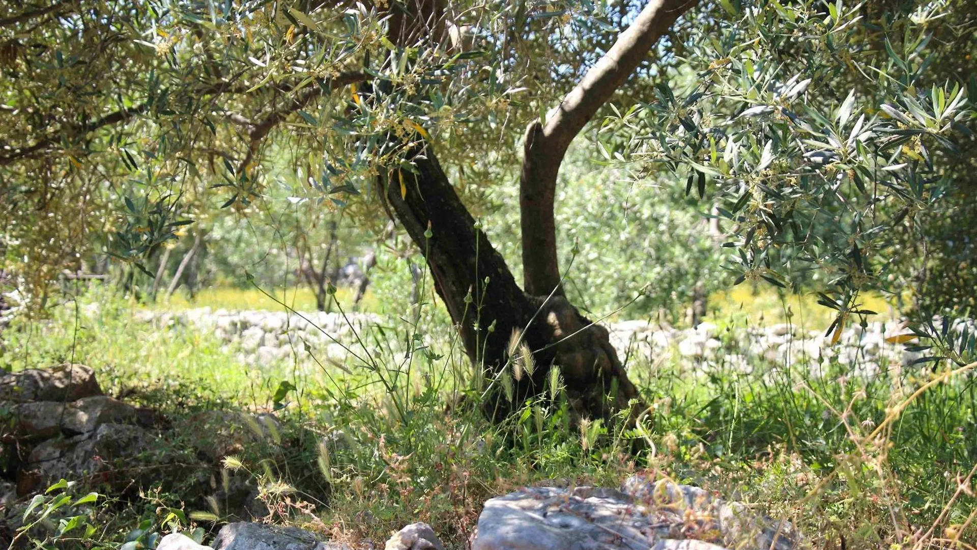 Apartment Apartman Ravni 158 Labin